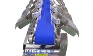 江門(mén)重量分選機(jī),10+級(jí)別,±1克高精度重量分選機(jī)