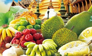 探索水果分揀機如何通過自動化技術(shù)在果園、加工廠、保鮮庫及零售環(huán)節(jié)提高生產(chǎn)效率，降低成本，并確保水果品質(zhì)滿足市場需求。