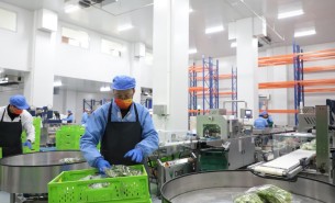 蔬菜配重機(jī)：解決人工成本與效率問題，助力蔬菜加工發(fā)展