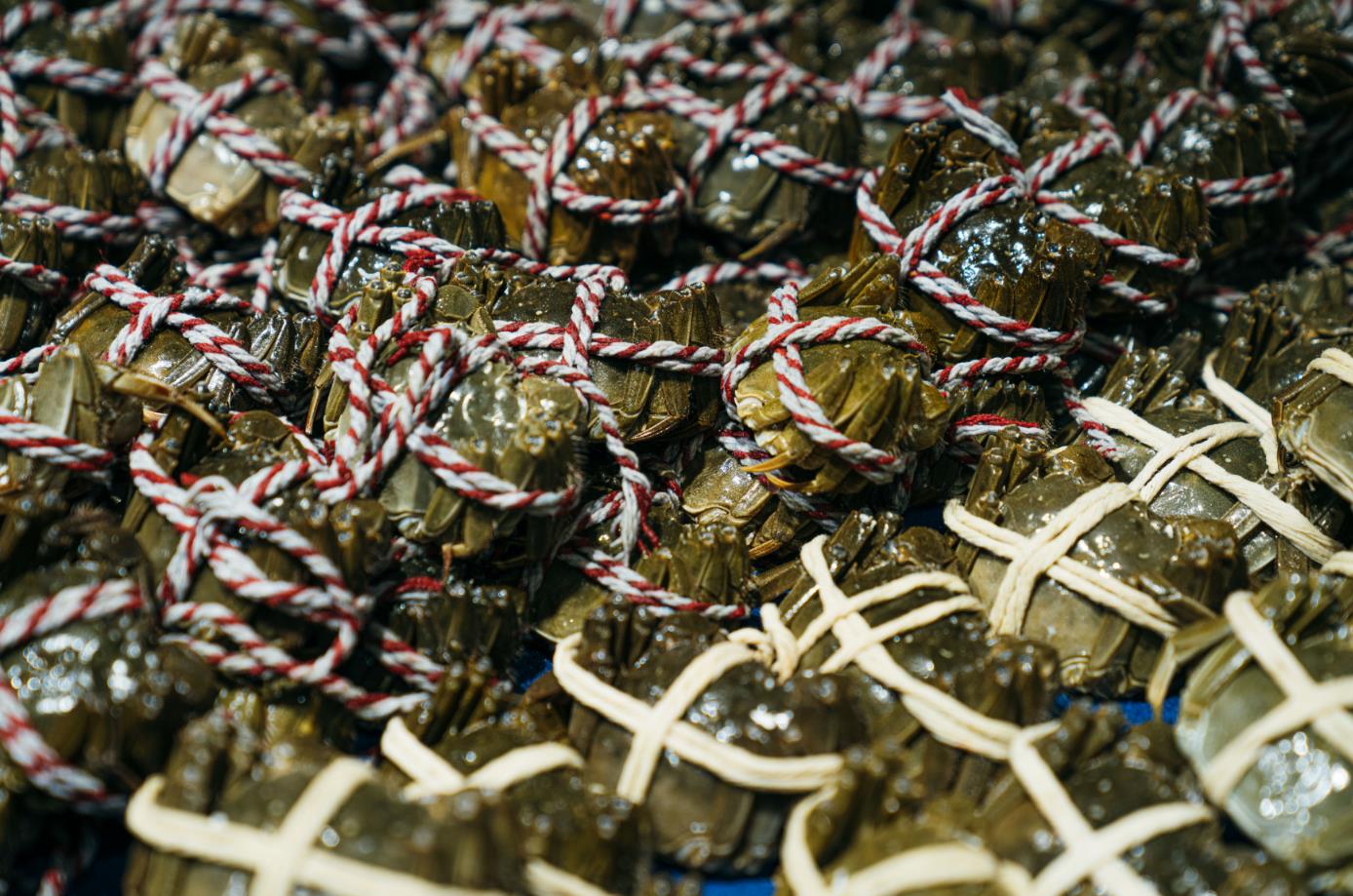 1670377131120032.jpg 1670377131120032.jpg